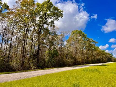 lot6 Creekdown Ln, Pace, FL 32571 photo 8