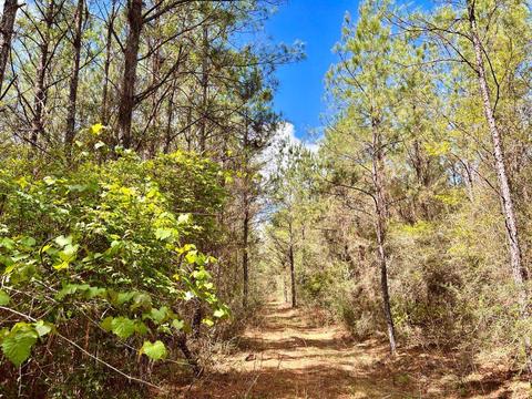 lot6 Creekdown Ln, Pace, FL 32571 photo 12