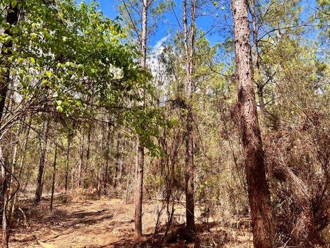 lot6 Creekdown Ln, Pace, FL 32571 photo 16
