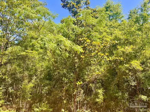 lot8 Creekdown Ln, Pace, FL 32571 photo 18