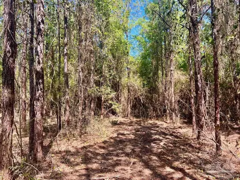 lot8 Creekdown Ln, Pace, FL 32571 photo 17