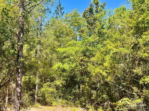 lot8 Creekdown Ln, Pace, FL 32571 photo 20