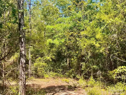 lot8 Creekdown Ln, Pace, FL 32571 photo 19