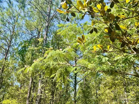 lot8 Creekdown Ln, Pace, FL 32571 photo 21
