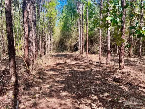 lot8 Creekdown Ln, Pace, FL 32571 photo 15