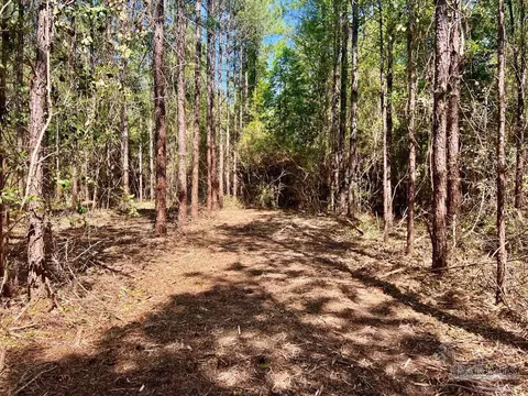 lot8 Creekdown Ln, Pace, FL 32571 photo 16