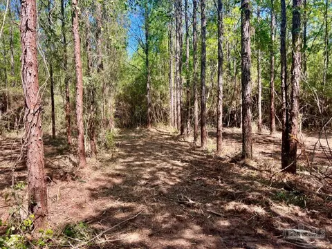 lot8 Creekdown Ln, Pace, FL 32571 photo 14