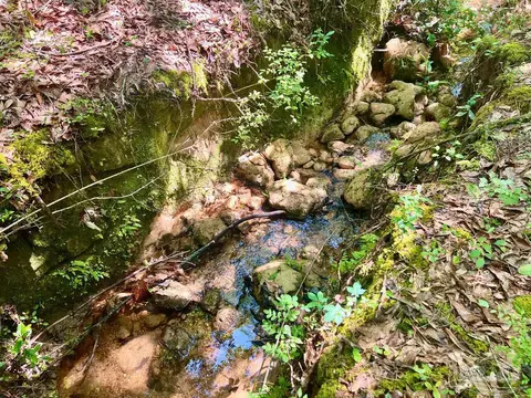 lot8 Creekdown Ln, Pace, FL 32571 photo 23