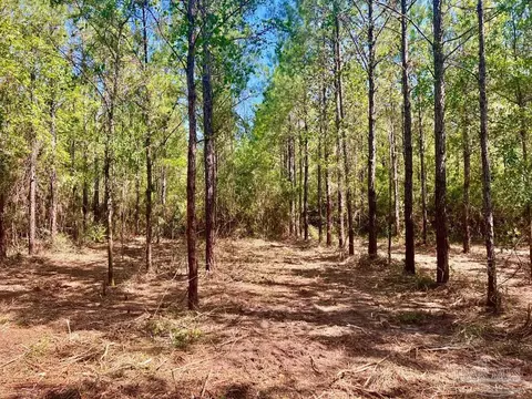 lot9 Creekdown Ln, Jay, FL 32565 photo 23
