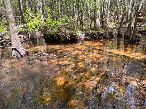 lot9 Creekdown Ln, Jay, FL 32565 photo 24