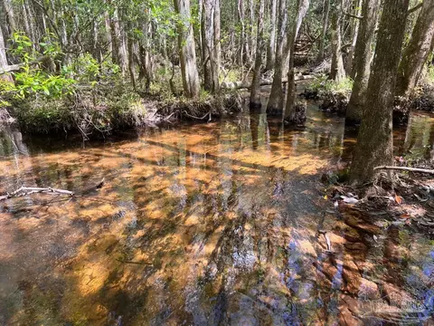 lot9 Creekdown Ln, Jay, FL 32565 photo 2