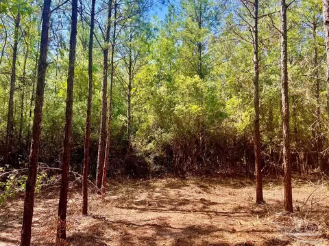 lot9 Creekdown Ln, Jay, FL 32565 photo 20
