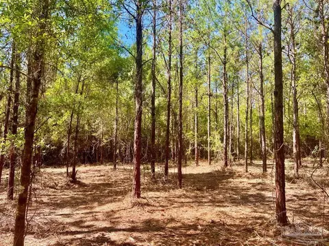 lot9 Creekdown Ln, Jay, FL 32565 photo 19