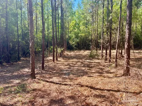 lot9 Creekdown Ln, Jay, FL 32565 photo 17