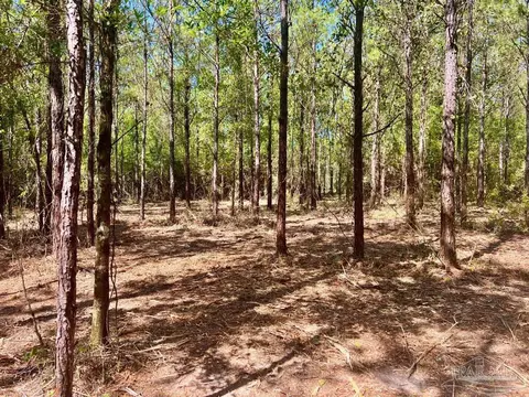 lot9 Creekdown Ln, Jay, FL 32565 photo 18