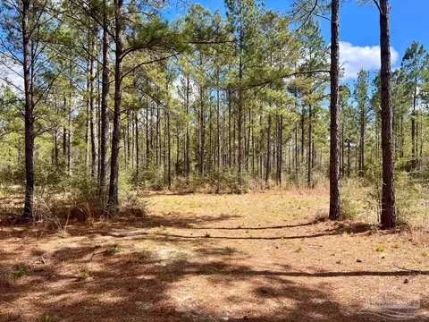 lot12 Naturewalk Dr, Pace, FL 32571 photo 25