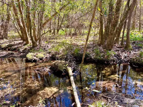 lot12 Naturewalk Dr, Pace, FL 32571 photo 31