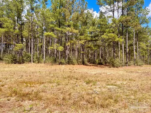 lot12 Naturewalk Dr, Pace, FL 32571 photo 19