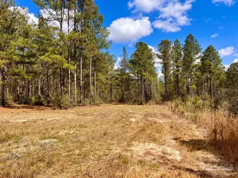 lot12 Naturewalk Dr, Pace, FL 32571 photo 20