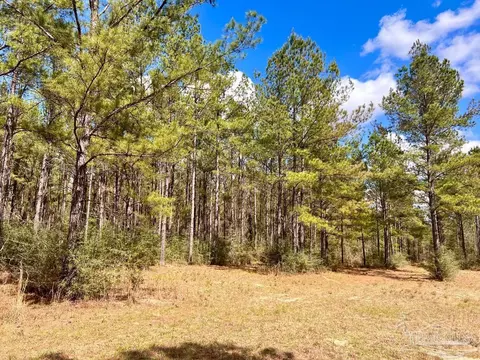 lot12 Naturewalk Dr, Pace, FL 32571 photo 17