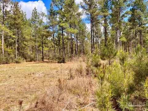 lot12 Naturewalk Dr, Pace, FL 32571 photo 21