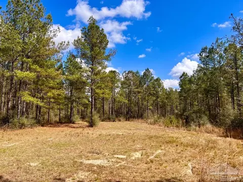 lot12 Naturewalk Dr, Pace, FL 32571 photo 18