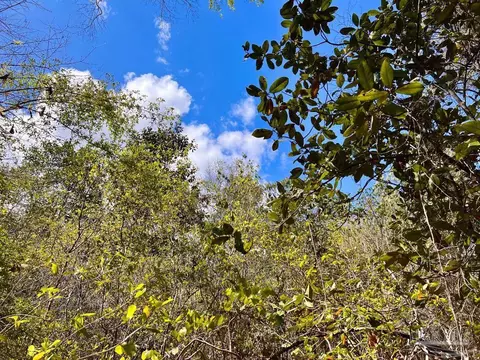 lot12 Naturewalk Dr, Pace, FL 32571 photo 27