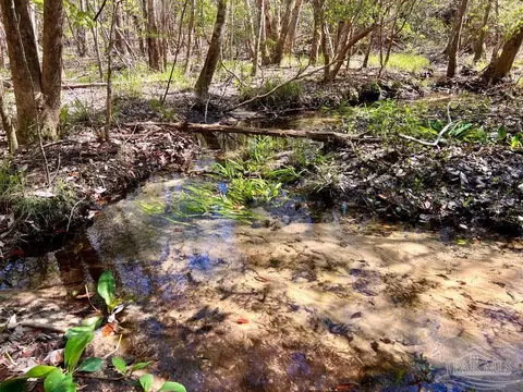 lot12 Naturewalk Dr, Pace, FL 32571 photo 29