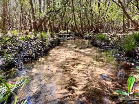 lot12 Naturewalk Dr, Pace, FL 32571 photo 30