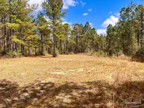 lot12 Naturewalk Dr, Pace, FL 32571 photo 16