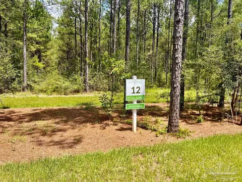 lot12 Naturewalk Dr, Pace, FL 32571 photo 6