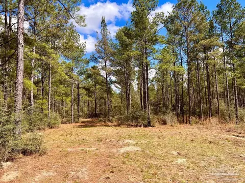 lot12 Naturewalk Dr, Pace, FL 32571 photo 23