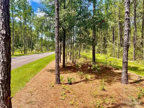 lot12 Naturewalk Dr, Pace, FL 32571 photo 11