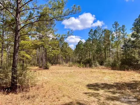lot12 Naturewalk Dr, Pace, FL 32571 photo 24