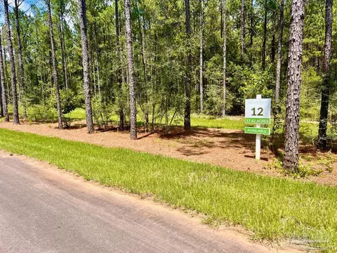 lot12 Naturewalk Dr, Pace, FL 32571 photo 9