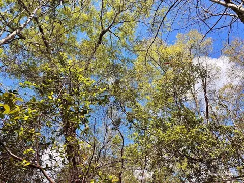 lot12 Naturewalk Dr, Pace, FL 32571 photo 26