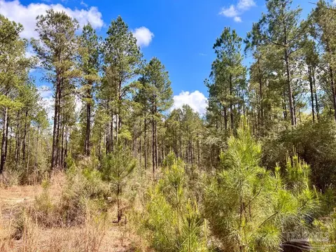 lot12 Naturewalk Dr, Pace, FL 32571 photo 22