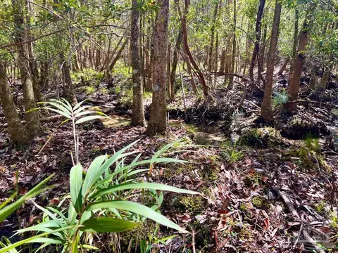 lot12 Naturewalk Dr, Pace, FL 32571 photo 28
