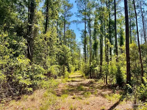 lot17 Pine Preserve Ln, Jay, FL 32565 photo 18
