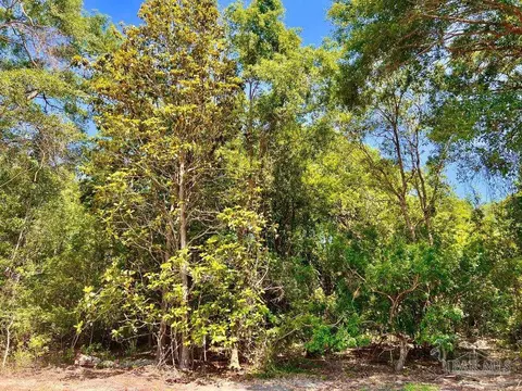 lot17 Pine Preserve Ln, Jay, FL 32565 photo 9