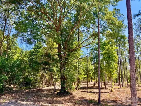 lot17 Pine Preserve Ln, Jay, FL 32565 photo 8