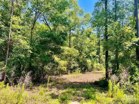 lot17 Pine Preserve Ln, Jay, FL 32565 photo 17