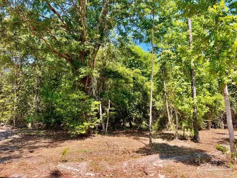 lot17 Pine Preserve Ln, Jay, FL 32565 photo 7
