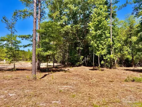 lot17 Pine Preserve Ln, Jay, FL 32565 photo 14
