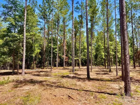 lot17 Pine Preserve Ln, Jay, FL 32565 photo 11