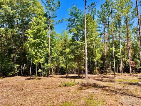 lot17 Pine Preserve Ln, Jay, FL 32565 photo 16