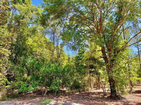 lot17 Pine Preserve Ln, Jay, FL 32565 photo 10