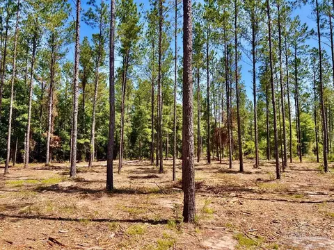 lot17 Pine Preserve Ln, Jay, FL 32565 photo 12