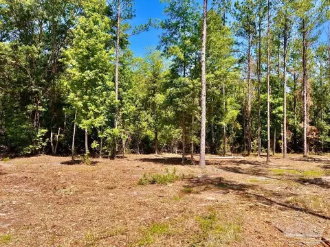 lot17 Pine Preserve Ln, Jay, FL 32565 photo 13