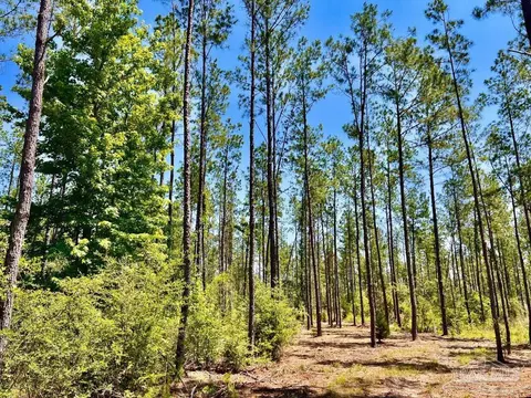 lot18 Pine Preserve Ln, Jay, FL 32565 photo 12